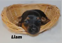 processed/976b2419-7a57-4bf7-951b-2790c9bb067b/listing/ebf46547-8f15-42c2-9c5c-3478954b9720/d6ffb790-ddd0-44a0-bd81-47da83feb6f2