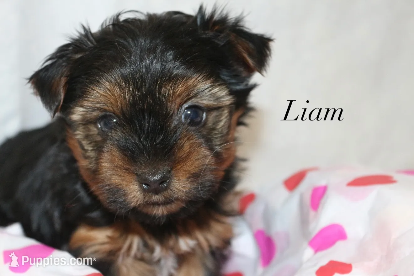 processed/976b2419-7a57-4bf7-951b-2790c9bb067b/listing/ebf46547-8f15-42c2-9c5c-3478954b9720/df054871-3f47-40aa-a75c-8b96e6a2b0e0