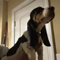 processed/976e221d-64a7-46c4-9184-5294dd67761d/facility/1efb8281-8979-4d59-be67-5bbdb6098151