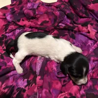 processed/976e221d-64a7-46c4-9184-5294dd67761d/facility/569d38d3-3559-43c9-957e-d536a1233d5f