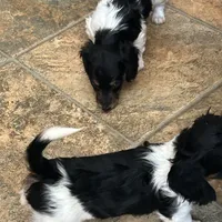 processed/976e221d-64a7-46c4-9184-5294dd67761d/facility/57af2c2f-da61-4cb4-85a0-b48f0f95d3fb