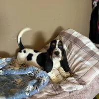 processed/976e221d-64a7-46c4-9184-5294dd67761d/facility/778b5479-d43e-4a74-af93-90eb3c2101c5