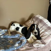 processed/976e221d-64a7-46c4-9184-5294dd67761d/facility/899f013e-5a28-4ce6-9225-c0a755fc49fa