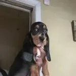 processed/976e221d-64a7-46c4-9184-5294dd67761d/facility/8a595b97-6339-478f-af01-45fe25b4849b