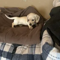 processed/976e221d-64a7-46c4-9184-5294dd67761d/facility/e53742b6-5dca-44e3-96d9-54ccee0cc485