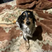 processed/976e221d-64a7-46c4-9184-5294dd67761d/facility/faa74e3c-9a45-49ac-8295-e3d2e01355b2