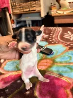 processed/976e221d-64a7-46c4-9184-5294dd67761d/listing/bc780345-44ff-4bf4-9721-3577b7496d6b/5d6c0aa6-90d2-4378-9b57-e8091db0f053