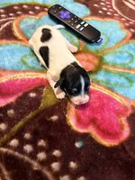 processed/976e221d-64a7-46c4-9184-5294dd67761d/listing/bc780345-44ff-4bf4-9721-3577b7496d6b/8694b3c3-22f5-41ba-a1c2-be1a154370b7