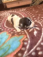 processed/976e221d-64a7-46c4-9184-5294dd67761d/listing/bc780345-44ff-4bf4-9721-3577b7496d6b/f49f613f-3439-4c3a-949d-fc1aedd03309