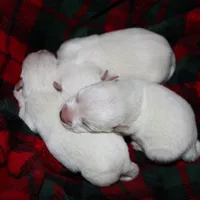 processed/9770e76d-b29f-4883-adea-d997e30c20b1/facility/1cdf8d27-d0ae-4680-beec-e9acac11abf2