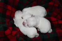 processed/9770e76d-b29f-4883-adea-d997e30c20b1/facility/1cdf8d27-d0ae-4680-beec-e9acac11abf2