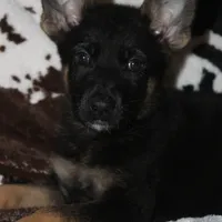 processed/9770e76d-b29f-4883-adea-d997e30c20b1/facility/23f766ff-1702-4937-bd0b-e53452aa71d8