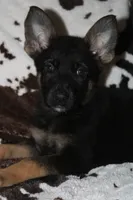 processed/9770e76d-b29f-4883-adea-d997e30c20b1/facility/23f766ff-1702-4937-bd0b-e53452aa71d8