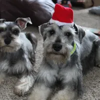 processed/9770e76d-b29f-4883-adea-d997e30c20b1/facility/47c3cc9c-6ace-485d-a2ed-0f59e8104696