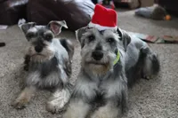 processed/9770e76d-b29f-4883-adea-d997e30c20b1/facility/47c3cc9c-6ace-485d-a2ed-0f59e8104696