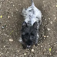 processed/9770e76d-b29f-4883-adea-d997e30c20b1/facility/4a05cf1f-fe8c-475b-bdb5-8598d66fe31f