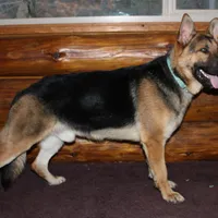 processed/9770e76d-b29f-4883-adea-d997e30c20b1/facility/590bb4a2-55ba-4a3f-b435-f84e28037ed6