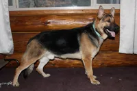 processed/9770e76d-b29f-4883-adea-d997e30c20b1/facility/590bb4a2-55ba-4a3f-b435-f84e28037ed6