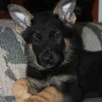 processed/9770e76d-b29f-4883-adea-d997e30c20b1/facility/9a5cbac2-ccbd-4cb9-b730-ac68286489b3