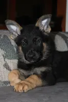 processed/9770e76d-b29f-4883-adea-d997e30c20b1/facility/9a5cbac2-ccbd-4cb9-b730-ac68286489b3