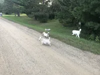 processed/9770e76d-b29f-4883-adea-d997e30c20b1/facility/a61bf5f3-8477-438e-a554-7fe9a175c65f