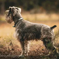 processed/9770e76d-b29f-4883-adea-d997e30c20b1/facility/cd662094-a405-4231-97e2-0273416ffab2