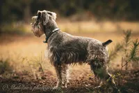 processed/9770e76d-b29f-4883-adea-d997e30c20b1/facility/cd662094-a405-4231-97e2-0273416ffab2