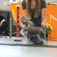 processed/9770e76d-b29f-4883-adea-d997e30c20b1/facility/d07b8d34-112b-4653-8bfc-ab3366e2681e