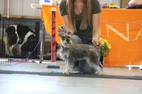 processed/9770e76d-b29f-4883-adea-d997e30c20b1/facility/d07b8d34-112b-4653-8bfc-ab3366e2681e