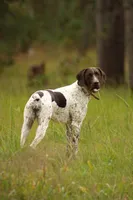 processed/9770e76d-b29f-4883-adea-d997e30c20b1/facility/e710078a-4531-49d6-97ce-a7120d037bee