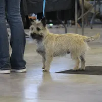 processed/9770e76d-b29f-4883-adea-d997e30c20b1/facility/f5530992-8ee0-4e6a-8cae-80bdf55aaa9d