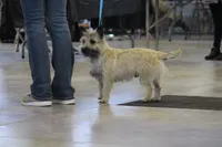 processed/9770e76d-b29f-4883-adea-d997e30c20b1/facility/f5530992-8ee0-4e6a-8cae-80bdf55aaa9d