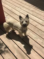 processed/9770e76d-b29f-4883-adea-d997e30c20b1/listing/c4910a66-24ce-44ca-95f0-c677c0b7a014/78f99978-1c1f-4524-ad4e-668bb82cbaa4