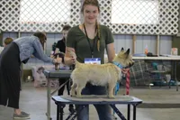 processed/9770e76d-b29f-4883-adea-d997e30c20b1/listing/c4910a66-24ce-44ca-95f0-c677c0b7a014/e4049cb8-3f30-4a6b-b3c4-dac022838ed6