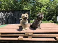 processed/9770e76d-b29f-4883-adea-d997e30c20b1/listing/c4910a66-24ce-44ca-95f0-c677c0b7a014/e5b81c2d-6a0e-499d-a3d0-431882869ed4