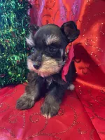 processed/9772e8c3-6dac-40c7-a3d7-17d8c43a1f66/listing/1701946c-0977-4e8c-a704-e86c17ccdab2/1563aa0e-e38f-4c37-a430-f598bcd1532a