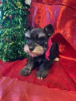 processed/9772e8c3-6dac-40c7-a3d7-17d8c43a1f66/listing/1701946c-0977-4e8c-a704-e86c17ccdab2/47bd1ce6-0412-43cf-b501-d574038ec5f1