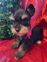 processed/9772e8c3-6dac-40c7-a3d7-17d8c43a1f66/listing/1701946c-0977-4e8c-a704-e86c17ccdab2/e95db9a7-ff35-4554-beef-e28be412fcad