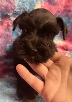 processed/9772e8c3-6dac-40c7-a3d7-17d8c43a1f66/listing/7f64625d-605d-4264-85a7-7403adf63fba/c402d2ce-dc24-4085-88dc-cc9b4c11962f