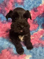 processed/9772e8c3-6dac-40c7-a3d7-17d8c43a1f66/listing/7f64625d-605d-4264-85a7-7403adf63fba/c8d0c454-07d0-423f-abe1-4378e5ac3fb5