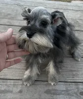 processed/9772e8c3-6dac-40c7-a3d7-17d8c43a1f66/listing/8a6170d2-ae85-43bb-9aaa-e605a2acafb9/5715ed79-9d1a-4359-9034-1ac7570fc456