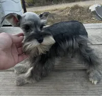 processed/9772e8c3-6dac-40c7-a3d7-17d8c43a1f66/listing/8a6170d2-ae85-43bb-9aaa-e605a2acafb9/8ad43bc5-bc16-4ac5-9e1d-5af71c9c2731