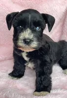 processed/9772e8c3-6dac-40c7-a3d7-17d8c43a1f66/listing/c7e7351e-77c6-407e-9406-a8c5ba2dfbc6/257d5bb6-a3aa-46e6-bace-d1949b47bfe8