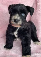 processed/9772e8c3-6dac-40c7-a3d7-17d8c43a1f66/listing/c7e7351e-77c6-407e-9406-a8c5ba2dfbc6/6904c7e6-90d6-4559-82bc-ed219310a23b