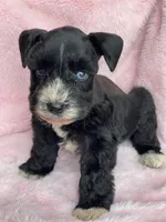 processed/9772e8c3-6dac-40c7-a3d7-17d8c43a1f66/listing/c7e7351e-77c6-407e-9406-a8c5ba2dfbc6/7f313305-79c2-464f-8bb4-4061cdd10ff1