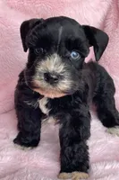 processed/9772e8c3-6dac-40c7-a3d7-17d8c43a1f66/listing/c7e7351e-77c6-407e-9406-a8c5ba2dfbc6/805007d1-b0be-4974-879d-4c5b11b267ff