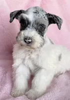 processed/9772e8c3-6dac-40c7-a3d7-17d8c43a1f66/listing/fcc77b23-e42c-4122-8d88-4c3be2f74cc4/1ca3f0e6-69d9-4ee7-b605-5b035e74f1d0