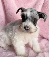 processed/9772e8c3-6dac-40c7-a3d7-17d8c43a1f66/listing/fcc77b23-e42c-4122-8d88-4c3be2f74cc4/392ff9ad-402b-484c-8f3b-3eefe7bc2362