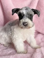 processed/9772e8c3-6dac-40c7-a3d7-17d8c43a1f66/listing/fcc77b23-e42c-4122-8d88-4c3be2f74cc4/7476f7dd-82ca-486b-aa05-5ff6b512a903