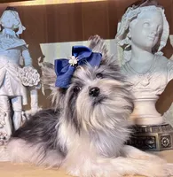 processed/9772e9d8-9781-4915-955c-31186233ba10/listing/b616ee84-5d45-41e8-aa7c-6bc3fc7fdde0/01c62425-d1b4-44fc-bdd0-4cf34dcc3a95